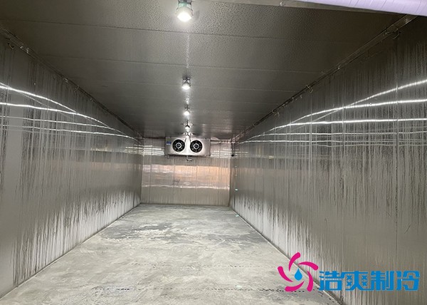 云南正邦科技320立方米低温化工防爆冷库建造工程案例